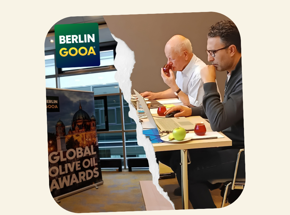 Olive oil tasting evaluation at Berlin GOOA